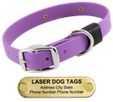 LASER BIG DAWG -- AMETHYST PURPLE 1 in. Biothane Standard Collar