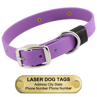  shop LASER BIG DAWG -- AMETHYST PURPLE 1 in. Biothane Standard Collar