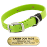 LASER BIG DAWG -- GREEN APPLE 1 in. Biothane Standard Collar