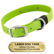  shop LASER BIG DAWG -- GREEN APPLE 1 in. Biothane Standard Collar