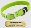 LASER BIG DAWG -- GREEN APPLE 1 in. Biothane Standard Collar