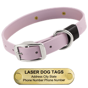  shop LASER BIG DAWG -- LILAC PURPLE 1 in. Biothane Standard Collar