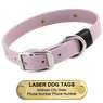 LASER BIG DAWG -- LILAC PURPLE 1 in. Biothane Standard Collar