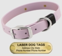 LASER BIG DAWG -- LILAC PURPLE 1 in. Biothane Standard Collar