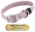 LASER BIG DAWG -- LILAC PURPLE 1 in. Biothane Standard Collar