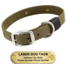 LASER BIG DAWG -- OLIVE GREEN 1 in. Biothane Standard Collar