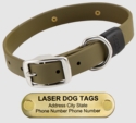 LASER BIG DAWG -- OLIVE GREEN 1 in. Biothane Standard Collar