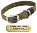 LASER BIG DAWG -- OLIVE GREEN 1 in. Biothane Standard Collar