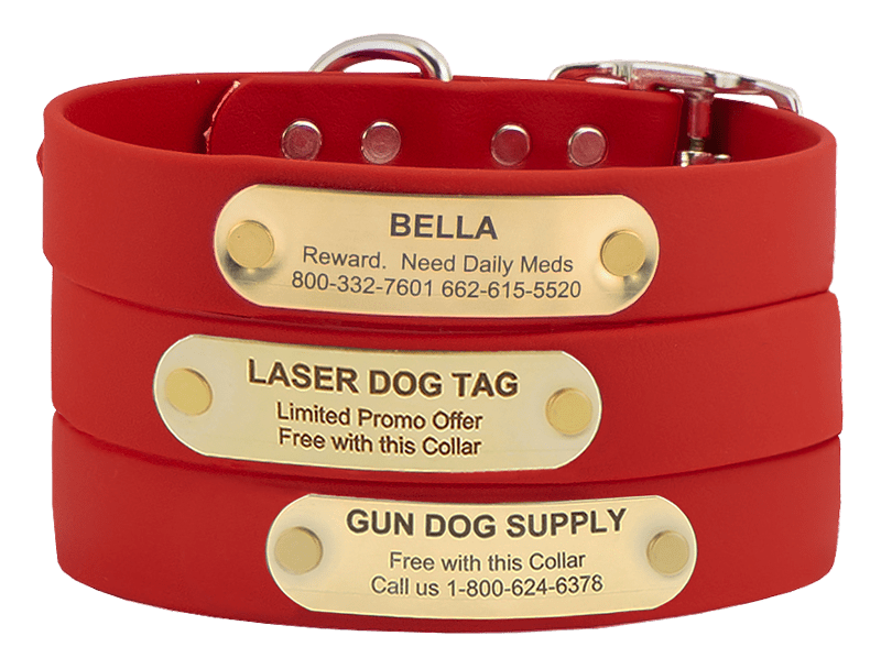 LASER BIG DAWG RED 1 in. SuperHeavy Biothane Standard Collar. 19.99.