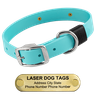 LASER BIG DAWG -- SKY BLUE 1 in. Biothane Standard Collar