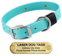 LASER BIG DAWG -- SKY BLUE 1 in. Biothane Standard Collar
