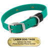 LASER BIG DAWG -- TEAL 1 in. Biothane Standard Collar