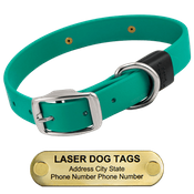  shop LASER BIG DAWG -- TEAL 1 in. Biothane Standard Collar
