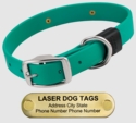 LASER BIG DAWG -- TEAL 1 in. Biothane Standard Collar