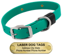 LASER BIG DAWG -- TEAL 1 in. Biothane Standard Collar