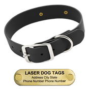  shop LASER BIGGER DAWG -- BLACK 1 1/2 in. Biothane Standard Collar