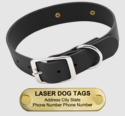 LASER BIGGER DAWG -- BLACK 1 1/2 in. Biothane Standard Collar