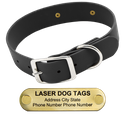 LASER BIGGER DAWG -- BLACK 1 1/2 in. Biothane Standard Collar