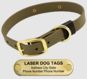 LASER Brass Dawg -- OLIVE GREEN 1 in. Biothane Standard Collar