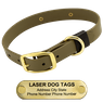 LASER Brass Dawg -- OLIVE GREEN 1 in. Biothane Standard Collar