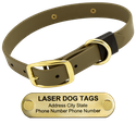 LASER Brass Dawg -- OLIVE GREEN 1 in. Biothane Standard Collar