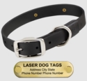 LASER BIG DAWG -- BLACK 1 in. Biothane Standard Collar