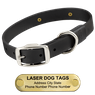 LASER BIG DAWG -- BLACK 1 in. Biothane Standard Collar