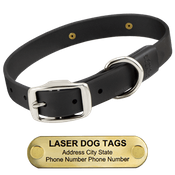  shop LASER BIG DAWG -- BLACK 1 in. Biothane Standard Collar