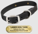 LASER BIG DAWG -- BLACK 1 in. Biothane Standard Collar