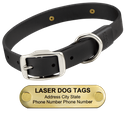 LASER BIG DAWG -- BLACK 1 in. Biothane Standard Collar