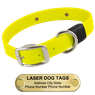 LASER BIG DAWG -- BRIGHT YELLOW 1 in. Biothane Standard Collar