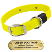  shop LASER BIG DAWG -- BRIGHT YELLOW 1 in. Biothane Standard Collar