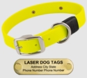 LASER BIG DAWG -- BRIGHT YELLOW 1 in. Biothane Standard Collar