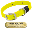 LASER BIG DAWG -- BRIGHT YELLOW 1 in. Biothane Standard Collar
