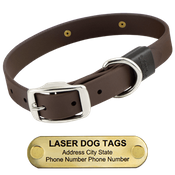  shop LASER BIG DAWG -- CHOCOLATE BROWN 1 in. Biothane Standard Collar