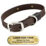 LASER BIG DAWG -- CHOCOLATE BROWN 1 in. Biothane Standard Collar