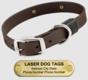 LASER BIG DAWG -- CHOCOLATE BROWN 1 in. Biothane Standard Collar