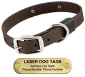 LASER BIG DAWG -- CHOCOLATE BROWN 1 in. Biothane Standard Collar