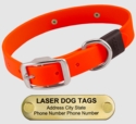 LASER BIG DAWG -- HUNTER ORANGE 1 in. Biothane Standard Collar