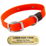 Laser Big Dawg -- Hunter ORANGE 1-inch Biothane Collar