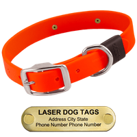  shop Laser Big Dawg -- Hunter ORANGE 1-inch Biothane Collar