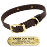 LASER Brass Dawg -- CHOCOLATE BROWN 1 in. Biothane Standard Collar