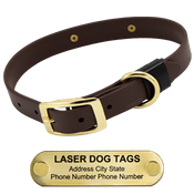  shop LASER Brass Dawg -- CHOCOLATE BROWN 1 in. Biothane Standard Collar