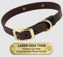 LASER Brass Dawg -- CHOCOLATE BROWN 1 in. Biothane Standard Collar