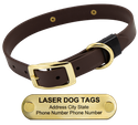 LASER Brass Dawg -- CHOCOLATE BROWN 1 in. Biothane Standard Collar