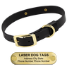LASER Brass Dawg -- BLACK 1 in. Biothane Standard Collar