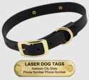LASER Brass Dawg -- BLACK 1 in. Biothane Standard Collar