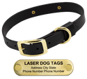 LASER Brass Dawg -- BLACK 1 in. Biothane Standard Collar