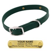  shop Little LASER Dawg -- FOREST GREEN 3/4 in. Biothane Standard Collar