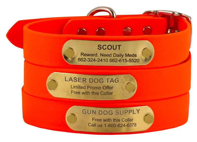 LASER BIG DAWG -- HUNTER ORANGE 1 in. Biothane Standard Collar | Gun ...